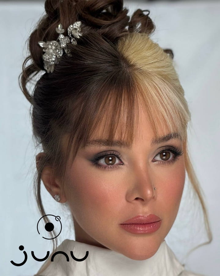 شینیون حرفه ای